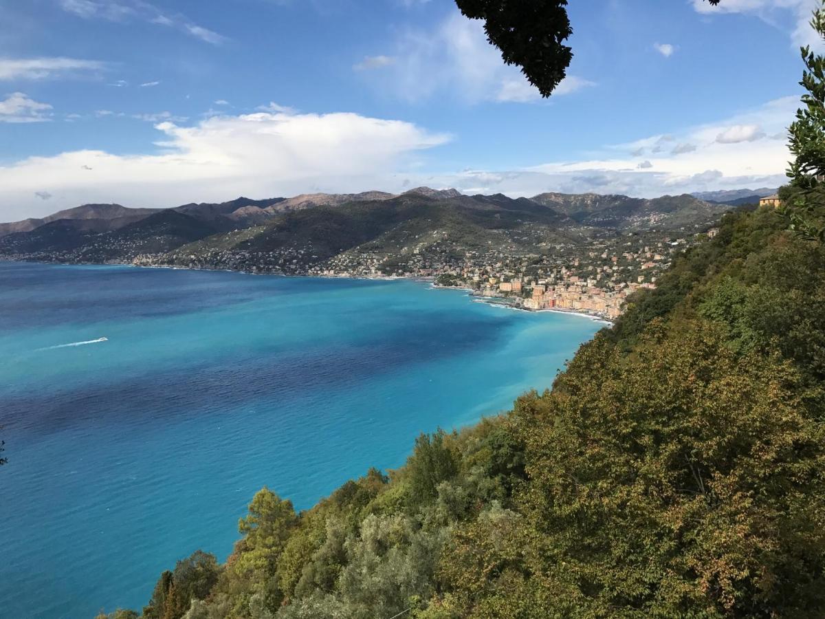 Villa Cielomare Camogli Exterior foto