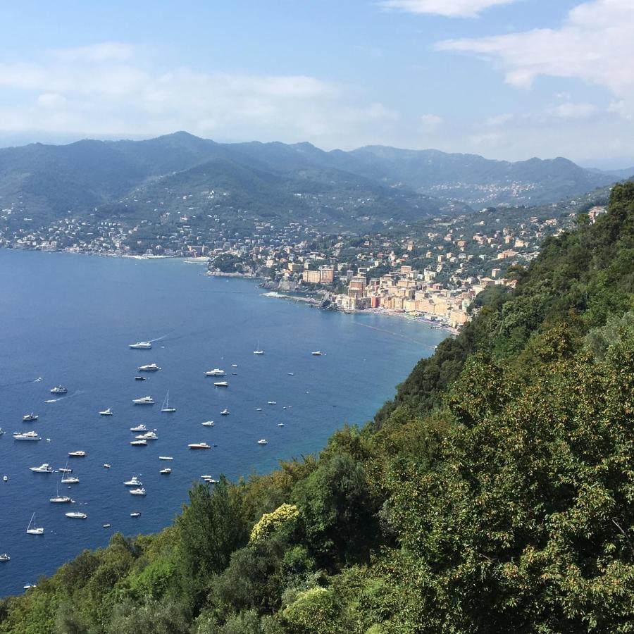 Villa Cielomare Camogli Exterior foto