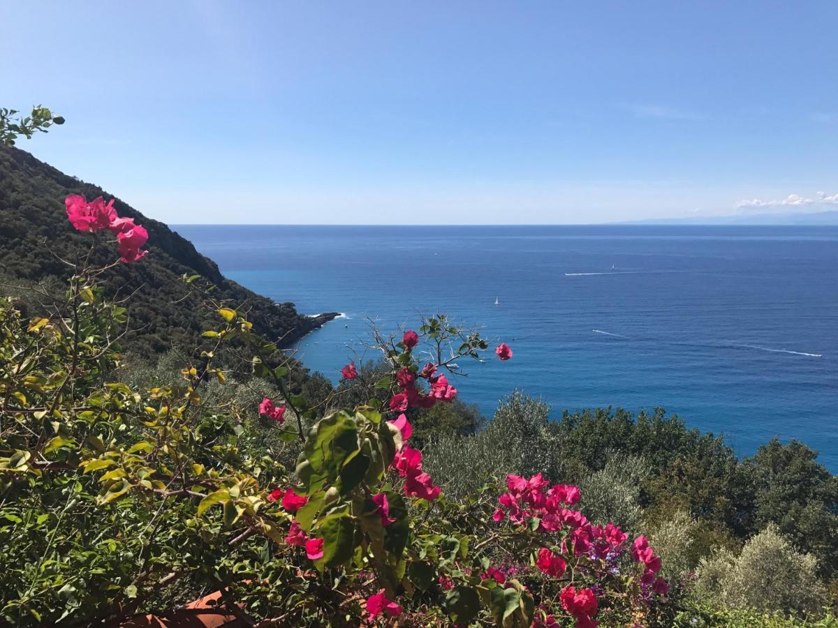 Villa Cielomare Camogli Exterior foto