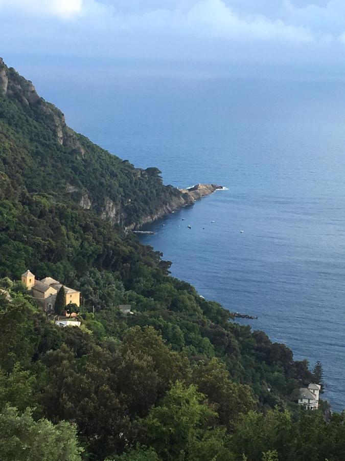 Villa Cielomare Camogli Exterior foto