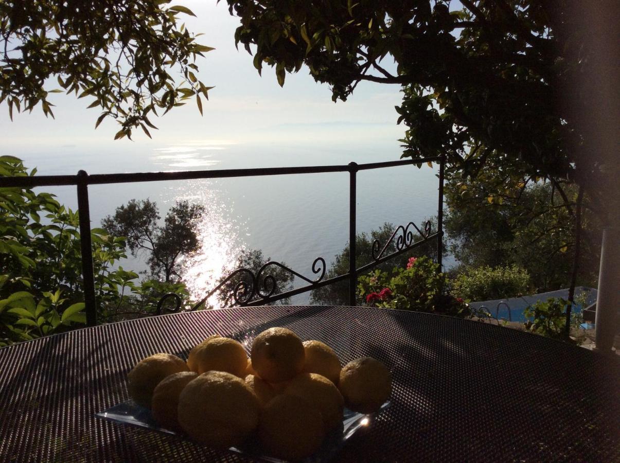 Villa Cielomare Camogli Exterior foto