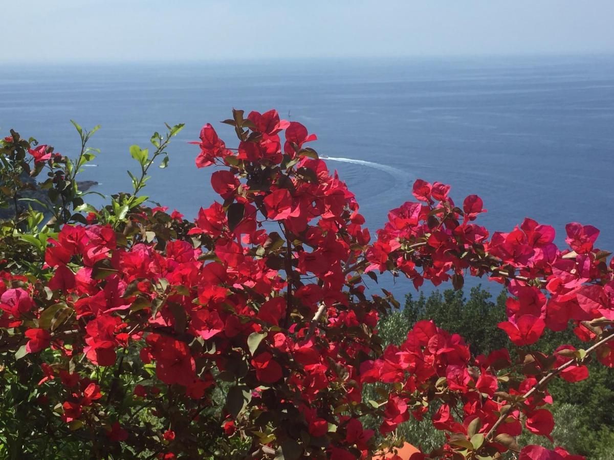 Villa Cielomare Camogli Exterior foto