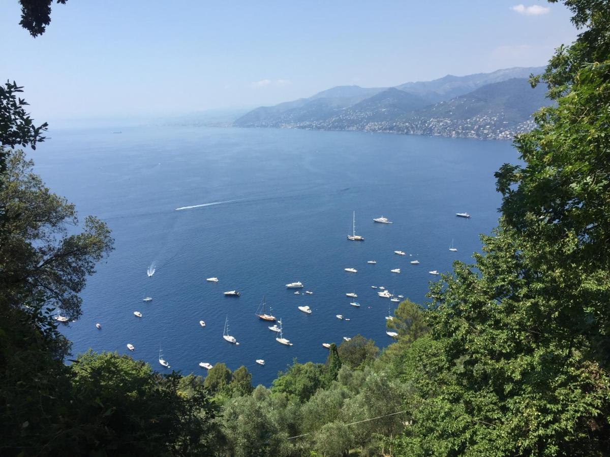 Villa Cielomare Camogli Exterior foto